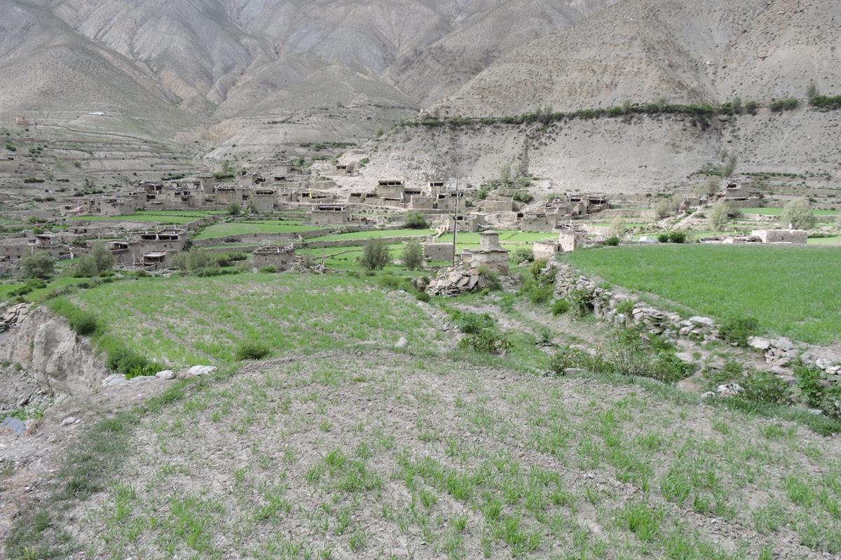 lower-dolpo